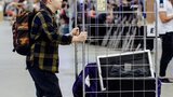 OttoJahnukainen_ASMS2016-14.jpg by Torstai