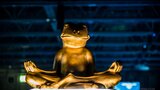 ASMS2017-SamiEraluoto-9210.jpg by Perjantai