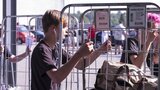 ASMS2018-EmmiHalmela-DSCF5995.jpg by Torstai