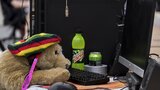 ASMS2018-EmmiHalmela-DSCF6086.jpg by Torstai