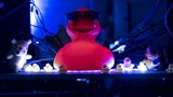 ASMS2018-EmmiHalmela-DSCF6741.jpg by Torstai